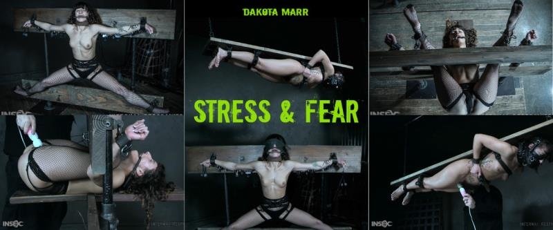 InfernalRestraints presents Dakota Marr - Stress & Fear (2022 | HD)