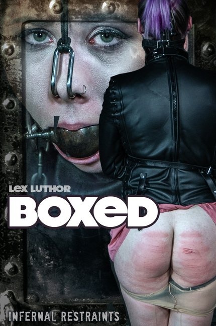 Lex Luthor - Boxed (2022 | HD)