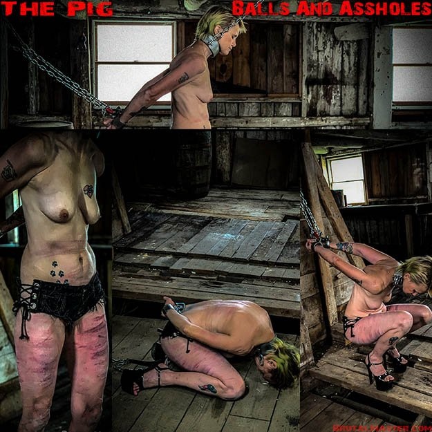 The Pig - Balls And Assholes (2022 | 1920x1080)