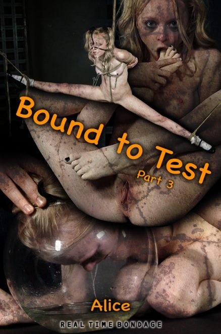 Bound to Test 3 (2022 | HD)