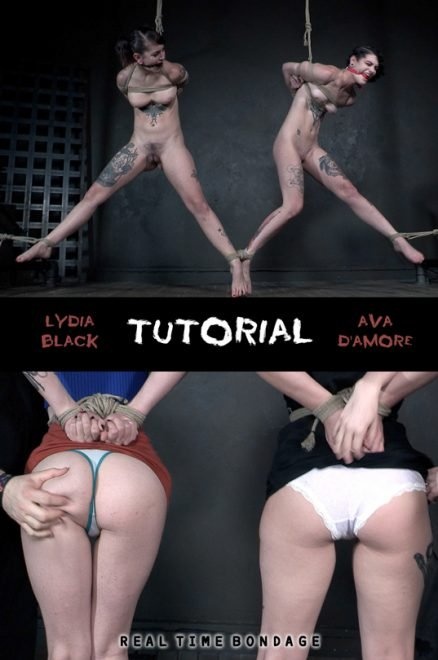 Tutorial (2022 | HD)