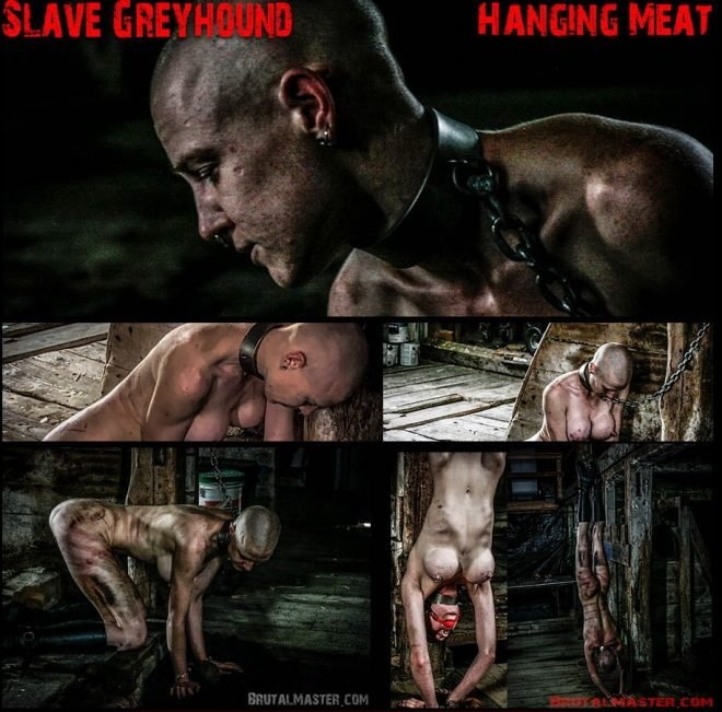 Brutal Master Hanging Meat: Slave Greyhound (2019 | 1920x1080)