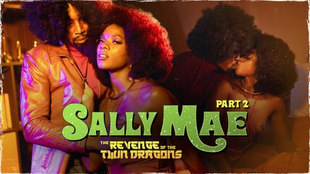 Ana Foxxx - Sally Mae: The Revenge of the Twin Dragons: Part 2 (2022 | FullHD)