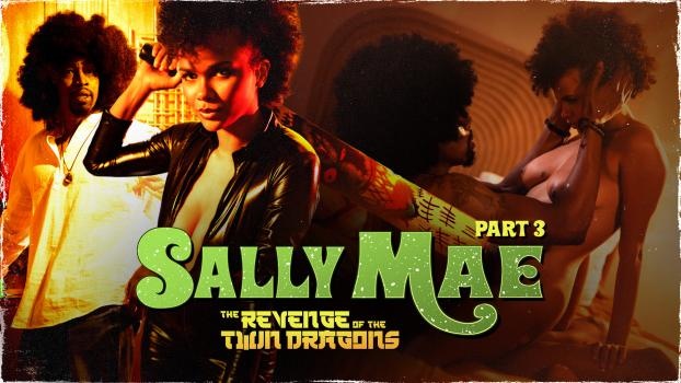 Alina Ali - Sally Mae: The Revenge of the Twin Dragons: Part 3 (2022 | FullHD)