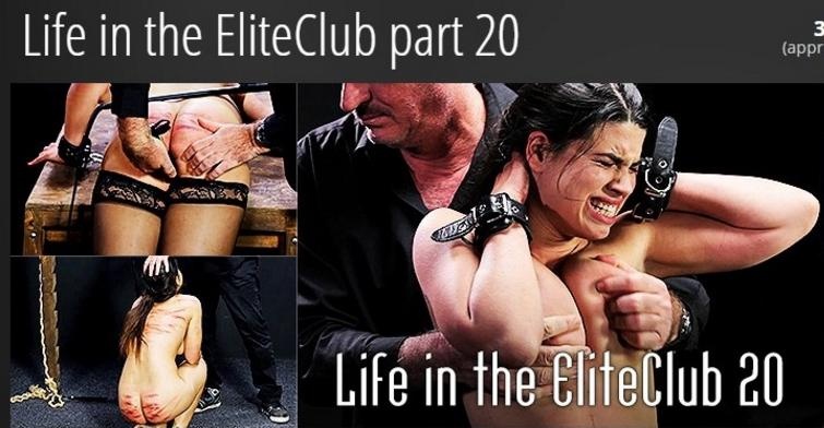 ElitePain - Life in the EliteClub part 20 (2022 | FullHD)