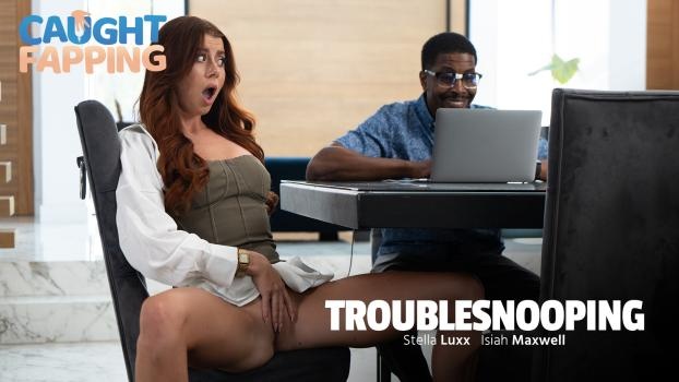 Stella Luxx - Troublesnooping (2025 | FullHD)