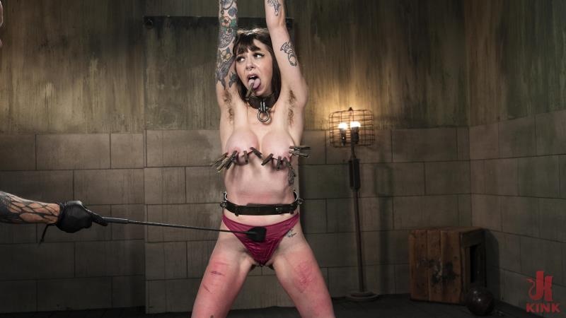 Bianka Strange - Bondage, Torment, and Tears (DeviceBondage) (2025 | FullHD)